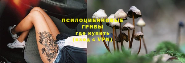 герыч Алексеевка