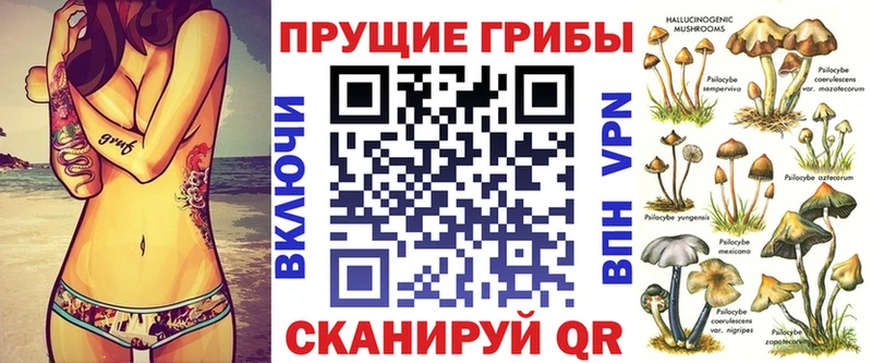 blacksprut ссылки  Завитинск  Псилоцибиновые грибы прущие грибы  что такое  